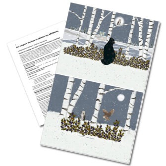 GT-2169- Grande Trousse Chat en Hiver Gris (Coupon)