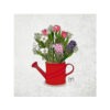 VI-2275 - Vignette en Velours Minky, Bouquet et Arrosoir Rouge
